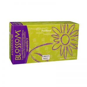 Dentcruise-Blossom Green Mint Latex Gloves 10 Boxes
